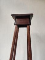 Plantentafel - Eik, Antiek en Kunst