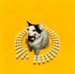 cd - DJ Peter Rauhofer - Twist This Pussy (A Continuous T..., Verzenden, Zo goed als nieuw