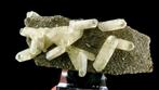 Calciet op dolomiet met galena en marcasiet - Sweetwater