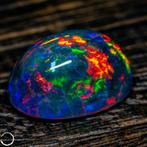 Eerste Kwaliteit AAA+++ Zwart Opal Cabochon 12,6ct- 2.52 g, Verzamelen, Nieuw
