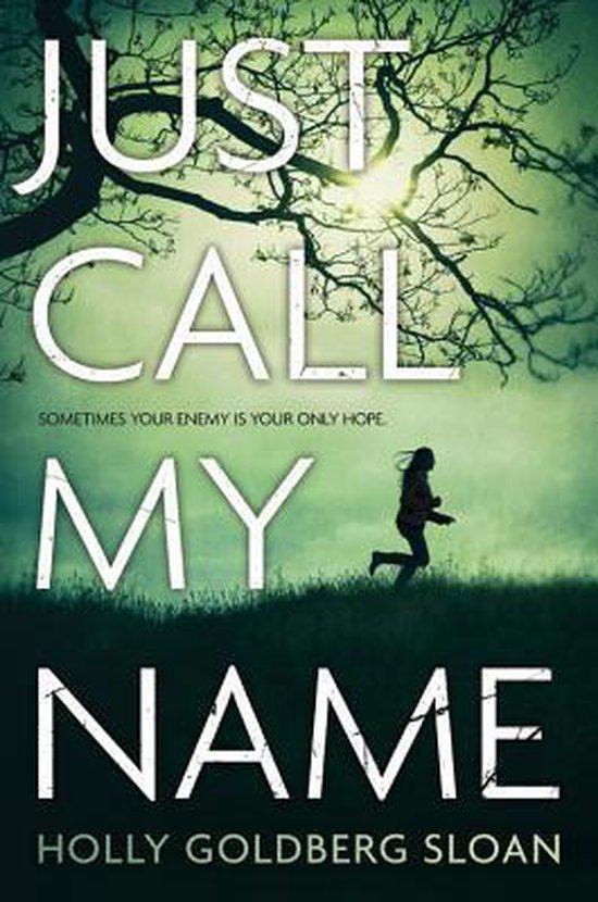 Just Call My Name 9780316122818 Holly Goldberg Sloan, Boeken, Taal | Engels, Gelezen, Verzenden