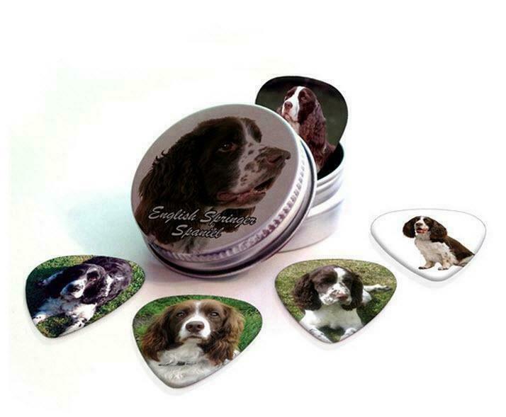 Blikje + plectrums afbeelding Engelse Springer Spaniel hond, Verzamelen, Overige Verzamelen, Nieuw, Ophalen of Verzenden