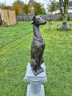 Beeld, XL 76cm Greyhound Dog - New - 76 cm - Hars, Antiek en Kunst