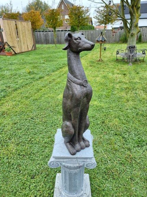 Beeld, XL 76cm Greyhound Dog - New - 76 cm - Hars, Antiek en Kunst, Kunst | Designobjecten