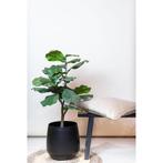 Kunstplant - Ficus Lyrata - Tabaksplant - 90 cm, Huis en Inrichting, Woonaccessoires | Kunstplanten en Kunstbloemen, Verzenden