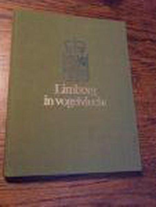 Limburg in vogelvlucht 9789033014017 J.W. van Besouw, Boeken, Overige Boeken, Gelezen, Verzenden