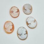 Schelp - Cameo - CAMMEI ANTICHI, Antiek en Kunst