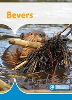 9789086647682 Mini Informatie 466 - Bevers, Boeken, Verzenden, Nieuw, Ditte Merle