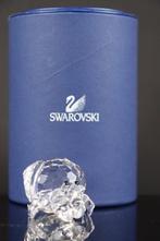 Figuur - Swarovski - Hermietkreeft (Boxed) - Kristal