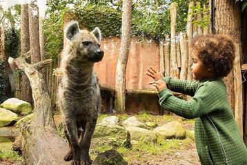 DierenPark Amersfoort tickets voor 2 personen beschikbaar voor biedingen