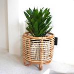 Malang Rotan Plantenstandaard–Boho Charme voor  elk, Verzenden, Nieuw