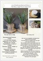 DIY Werkbeschrijving Schorspot met bladplant, Ophalen of Verzenden, Nieuw