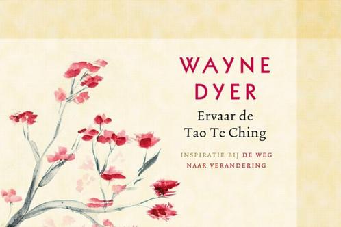Ervaar de Tao Te Ching 9789021550503 Wayne W. Dyer, Boeken, Esoterie en Spiritualiteit, Zo goed als nieuw, Verzenden