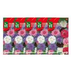 Korenbloemzaad | VT (Gemengd) | 5 stuks, Tuin en Terras, Verzenden