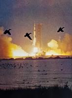 NASA - (10) X Vintage 1969 Apollo moon landing lithographs