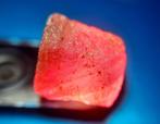 101,6 cts - Onbehandelde robijn - Ruw- 20.32 g, Verzamelen, Mineralen en Fossielen