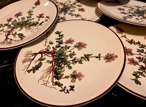 Villeroy & Boch - Schotel (6) - Botanica - Porselein, Antiek en Kunst, Antiek | Meubels | Tafels