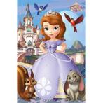 Sprookjesachtige prinses Sofia poster voor echte kleine r..., Ophalen of Verzenden, Nieuw