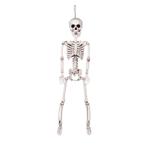 Halloween Pop Skelet Beweegbaar 60cm, Nieuw, Verzenden