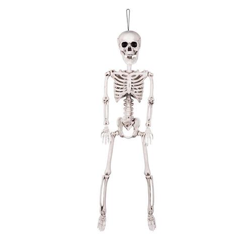 Halloween Pop Skelet Beweegbaar 60cm, Hobby en Vrije tijd, Feestartikelen, Nieuw, Verzenden