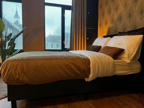 Studio te huur in Schiedam - 22 m² - 1 kamer(s), Huizen en Kamers, Kamers te huur, Rotterdam