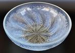 René Lalique - Schaal - Chicoree no.1 - Glas - VDA, Antiek en Kunst, Antiek | Glas en Kristal