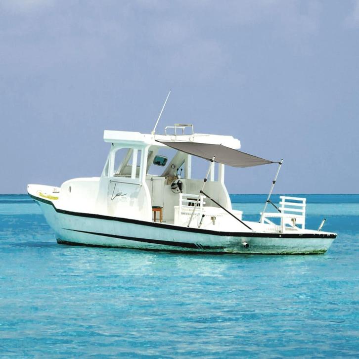 vidaXL Schaduwdoek T-top 170x170x(115-183) cm antracietgrijs, Watersport en Boten, Bootonderdelen, Nieuw, Verzenden