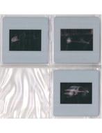 FIAT 1899-1999, PININFARINA, Boeken, Auto's | Boeken, Nieuw, Author