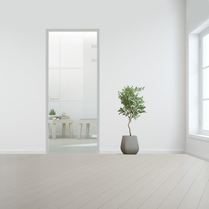 Glazen deur met kozijnsysteem - Aluminium beslag-Rechtsdraai, Doe-het-zelf en Verbouw, Glas en Ramen, Nieuw, Ophalen of Verzenden