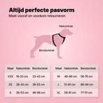 2dekans | Jake and Jacky Hondentuigje Kleine Hond -, Ophalen of Verzenden, Zo goed als nieuw