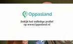 Laurens zoekt een oppas in Lent voor 1 kind.