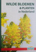 Wilde Bloemen & Planten in Nederland met Veldgids, Verzenden, Zo goed als nieuw, Dorling Kindersley