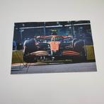 Mclaren - Lando Norris - 2024 - Photograph, Verzamelen, Nieuw