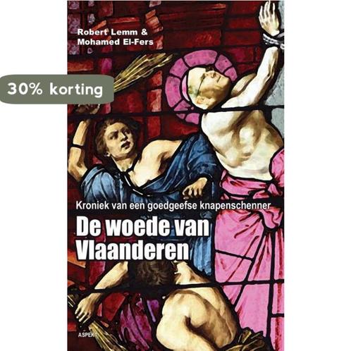 De woede van Vlaanderen 9789461533272 Robert Lemm, Boeken, Overige Boeken, Gelezen, Verzenden