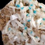 Blauwe Cavansietkristallen op Stilbiet Zeldzame Cavansiet op