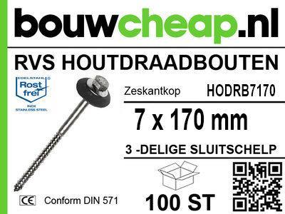 RVS Golfplaatbouten H3S set M7x 170, Doe-het-zelf en Verbouw, IJzerwaren en Bevestigingsmiddelen, Verzenden