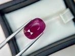 Zonder minimumprijs - 1 pcs Rood Robijn - 11.49 ct - Lotus, Nieuw