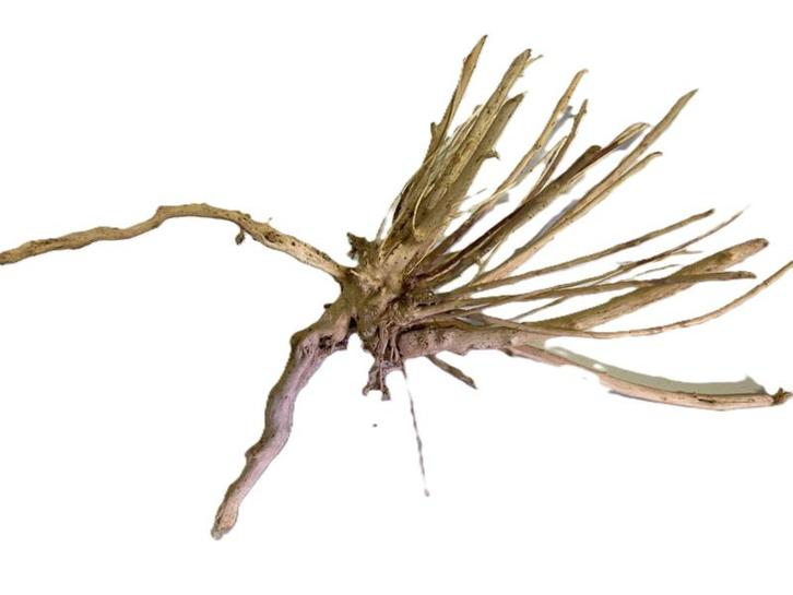 Driftwood Selected DW36 - 30x20x20cm (Small drift wood), Dieren en Toebehoren, Vissen | Aquaria en Toebehoren, Plant(en), Steen of Hout