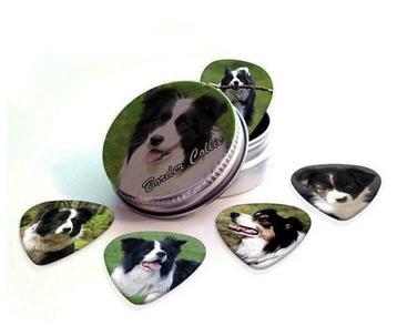 Blikje + plectrums met afbeelding van een Border Collie hond beschikbaar voor biedingen