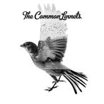 The Common Linnets - The Common Linnets - CD, Ophalen of Verzenden, Nieuw in verpakking