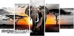 Diamond painting pakket - Olifant 5luik (full)