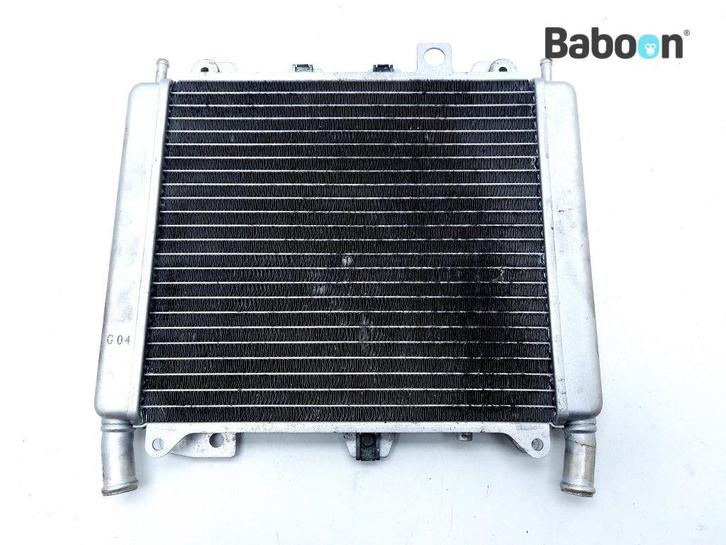 Radiateur Aprilia SR Max 300 2011-2016 (SR300 300ie), Motoren, Onderdelen | Overige, Gebruikt, Verzenden