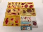 LaerdalPractoplast - Practice kit - Plastic, Antiek en Kunst, Antiek | Wandborden en Tegels
