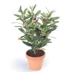Kunstplant olijf boompje groen in terracotta pot 35 cm  - ..
