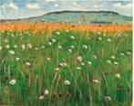 Kunstdruk Ferdinand Hodler - Wiesenstück 1900/1902 60x48cm, Verzenden, Nieuw