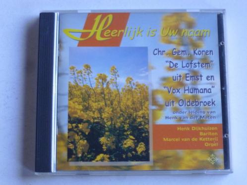 Heerlijk is Uw naam - De Lofstem + Vox Humana, Cd's en Dvd's, Cd's | Religie en Gospel, Verzenden