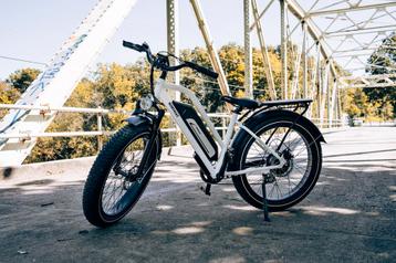 De Himiway Cruiser E-bike beschikbaar voor biedingen
