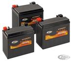 DYNAVOLT | GEL ACCU | YTX14L-BS | ONDERHOUDSVRIJ, Verzenden, Nieuw