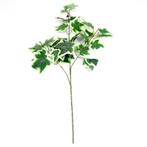 Hedera Groot Tak +/-60cm. BONT Hedera Tak +/-59, Ophalen of Verzenden, Nieuw