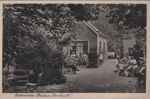 OOSTVOORNE - Theetuin Boschzicht, Verzamelen, Ansichtkaarten | Nederland, Verzenden